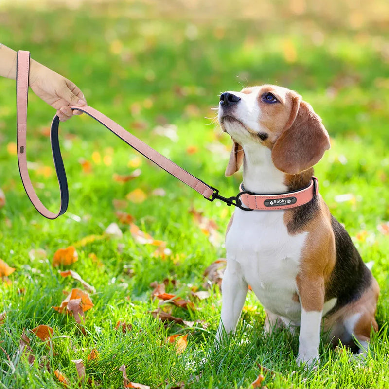 Leather Dog Collar