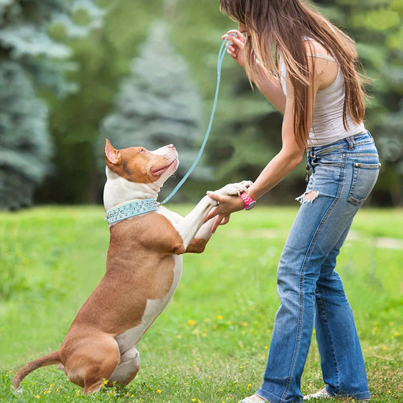 Dog Collar Leather Stylish and Durable Leash Medium Harness Dogs Backpack Collars Harnesses Wears Necklaces